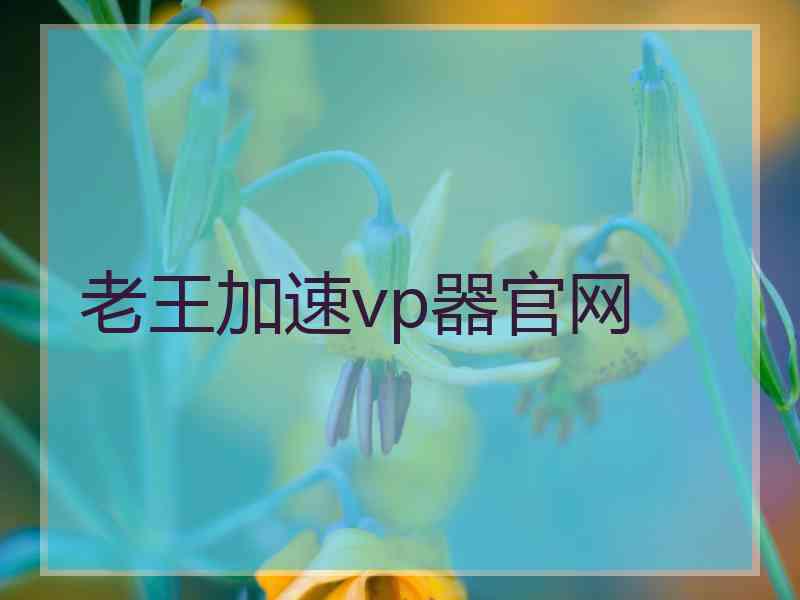 老王加速vp器官网