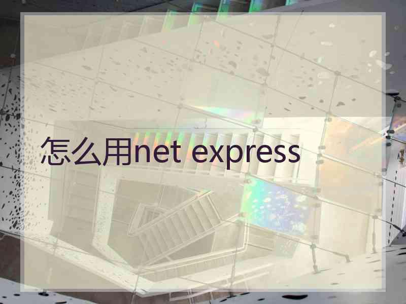 怎么用net express
