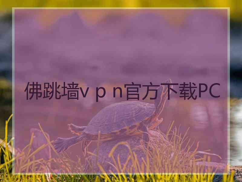 佛跳墙v p n官方下载PC
