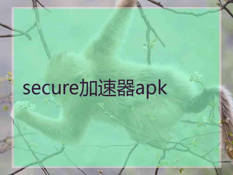 secure加速器apk