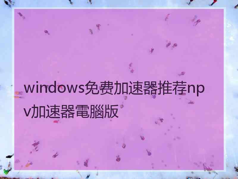 windows免费加速器推荐npv加速器電腦版