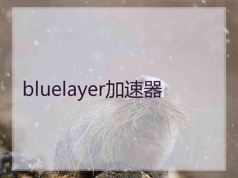 bluelayer加速器