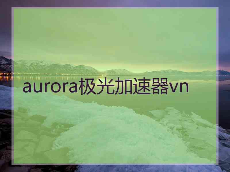 aurora极光加速器vn