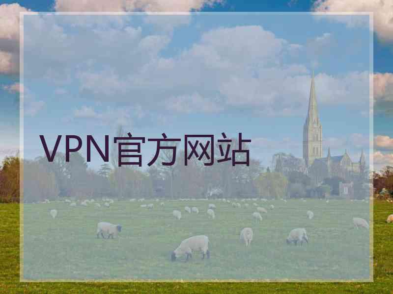VPN官方网站