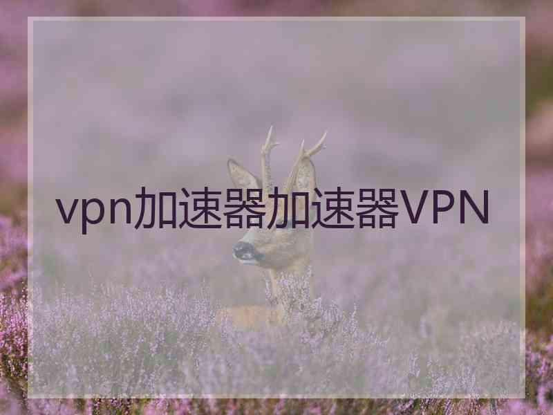 vpn加速器加速器VPN